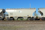 WSOX 804996